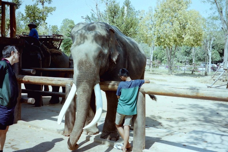 Thailand 2001-EX78.JPG